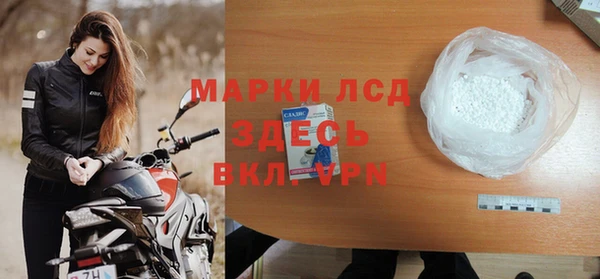 ПСИЛОЦИБИНОВЫЕ ГРИБЫ Богданович