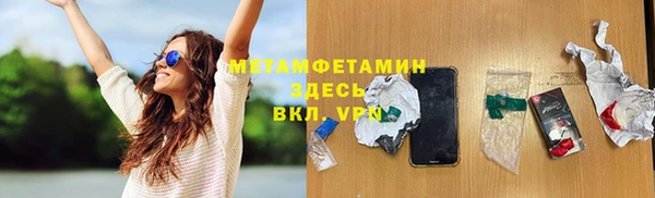 ПСИЛОЦИБИНОВЫЕ ГРИБЫ Богданович