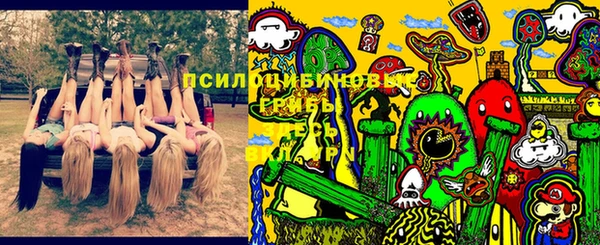 а пвп мука Богородск