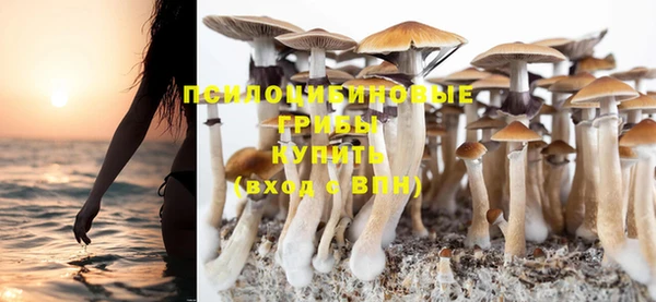 ALPHA PVP Бугульма