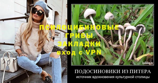ПСИЛОЦИБИНОВЫЕ ГРИБЫ Богданович