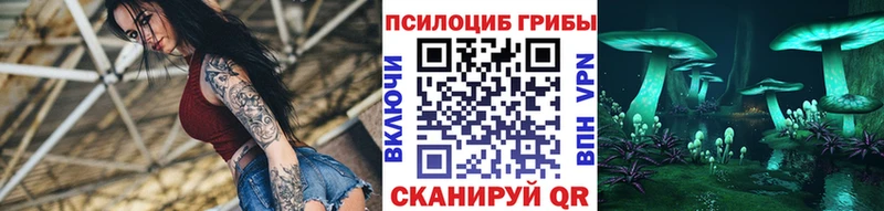 MEGA как зайти  сколько стоит  Буй  Галлюциногенные грибы Cubensis 